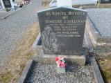 image of grave number 801184